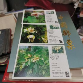 极限明信片MC5一套三张名贵植物