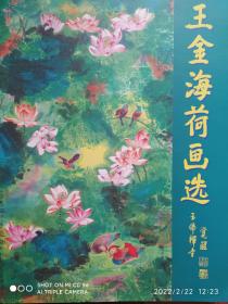 荷花画集，王金海荷画选