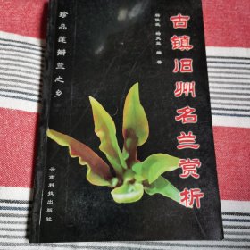 古镇旧州名兰赏析