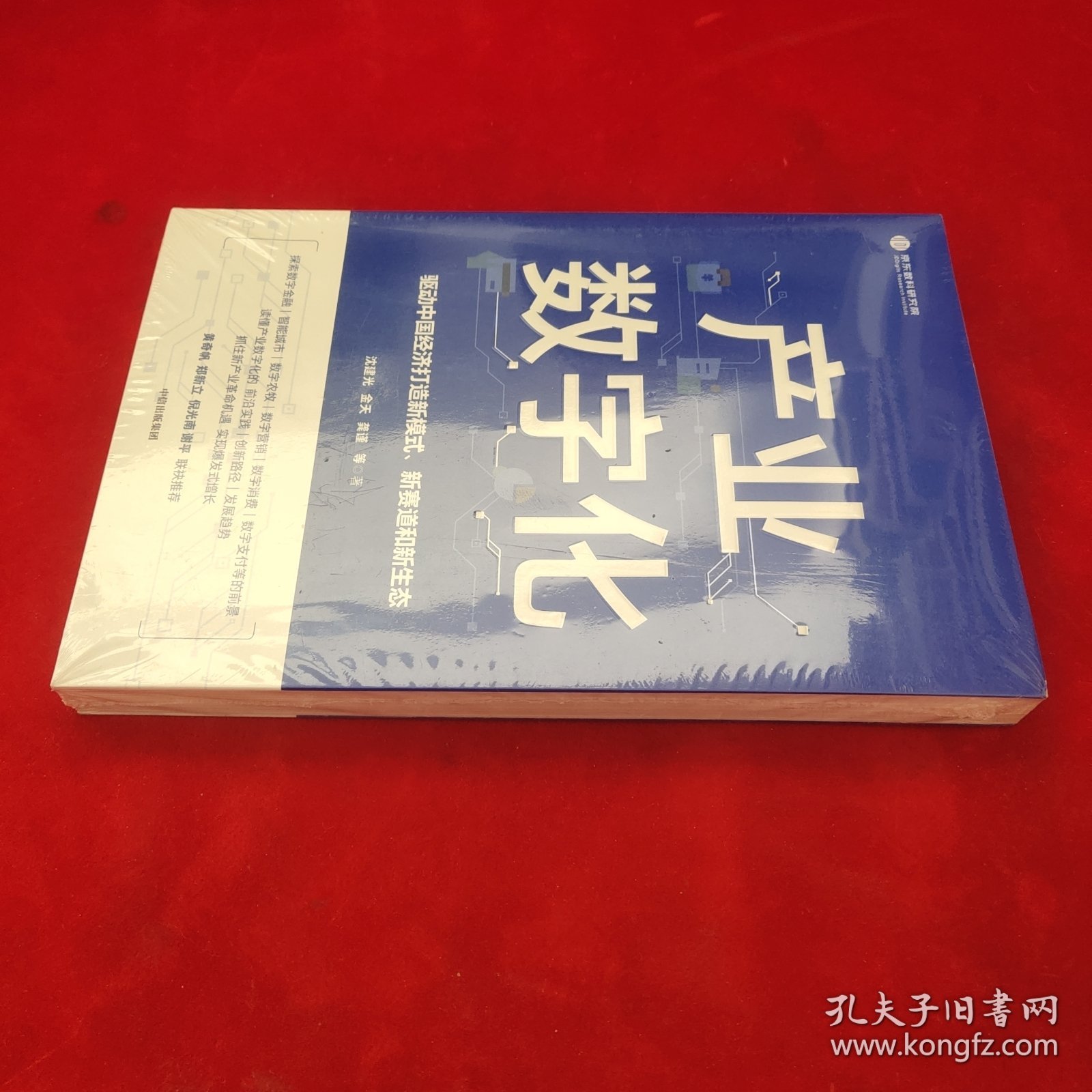 产业数字化驱动中国经济打造新模式新赛道和新生态沈建光金天龚谨杨芳冯永昌著