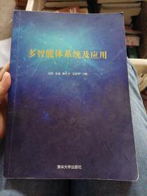多智能体系统及应用