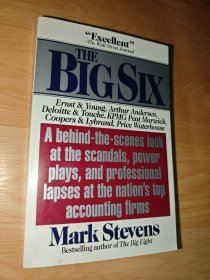 Big Six: Why Americans Can't Trust the Nation's Top Accounting Firms 英文版
