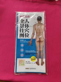 中国首创二维码挂图：视频互动人体穴位全景挂图（防水 耐折 撕不烂）