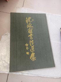 沈延毅书法选集 1996.12一版一印1000册，精装 8开 9品【内页完整无损.缺套封】