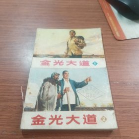 金光大道1-2