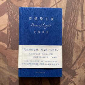 你燃烧了我