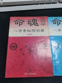 命魂 2本合售【品相见图】