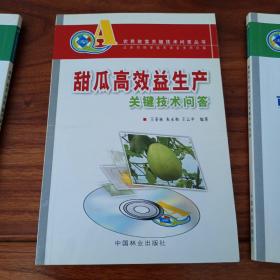 甜瓜高效益生产关键技术问答 冬瓜丝瓜苦瓜瓠子 棚室茄子亩产万元关键技术问答