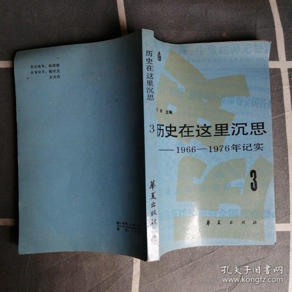 历史在这里沉思（第三卷）