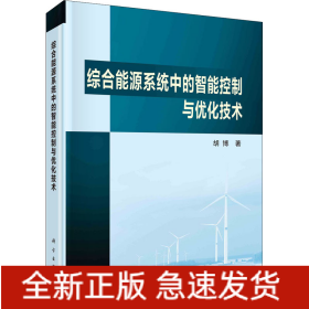 综合能源系统中的智能控制与优化技术