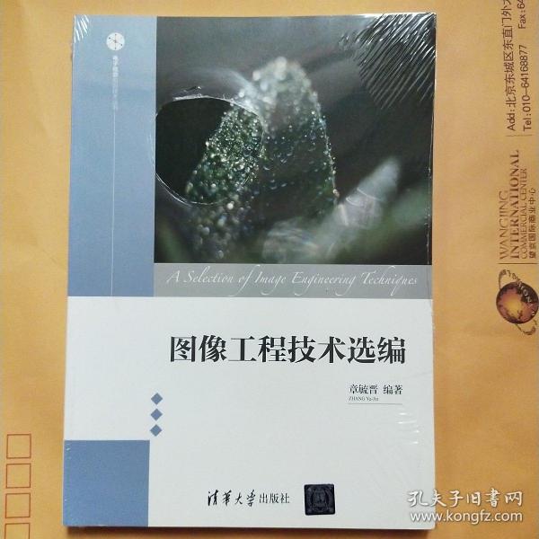 图像工程技术选编/电子信息前沿技术丛书