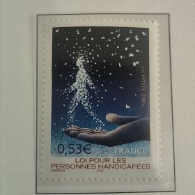 FR4法国2005年残疾人法 外国邮票 新 1全