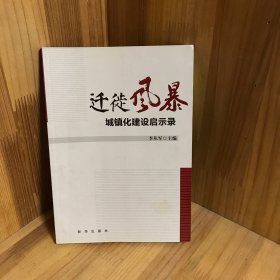 迁徙风暴：城镇化建设启示录