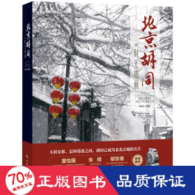 时光如画：北京胡同 旅游 杨茵