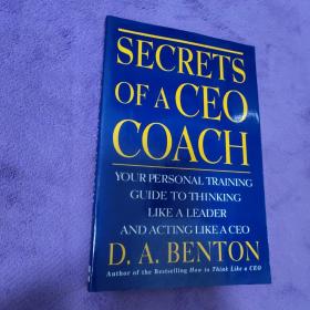 Secrets Of A Ceo Coach