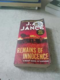 Remains of Innocence  A Brady Novel of Suspense