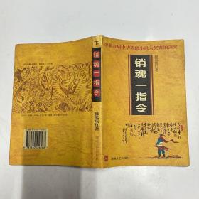 销魂一指令 下