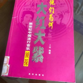 他们为何大红大紫/新世纪中国流行音乐侦探