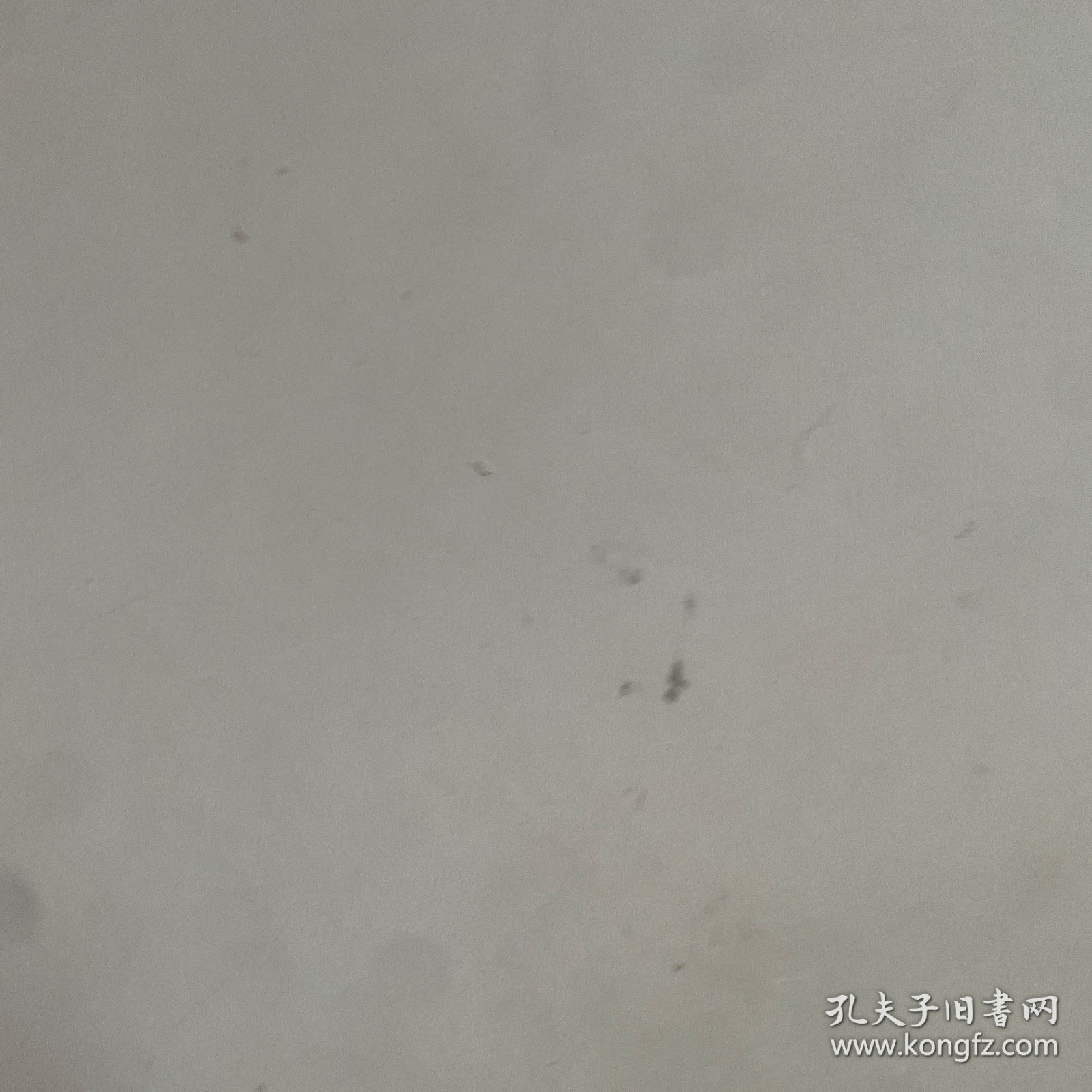 猫病诊疗技术