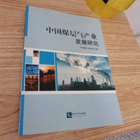 中国煤层气产业发展研究