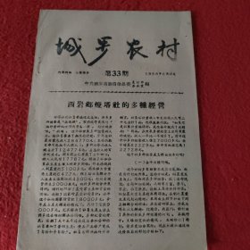 D城步农村期刊:第33期