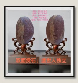 长江图案石《双面赏石：遗世人独立》，底座为电脑PK。