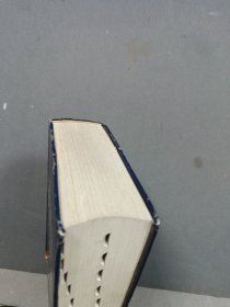 新时代汉英词典