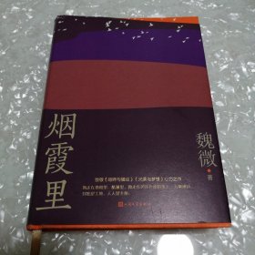 烟霞里（鲁迅文学奖魏微全新长篇小说，抒写一个时代下女主繁茂又寂静的匆匆一生）