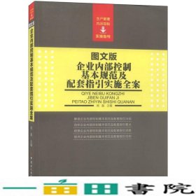 企业内部控制基本规范及配套指引实施全案（图文版）