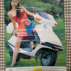 挂历1994年 美女泳装摩托挂历，发发发     13张全 塑膜