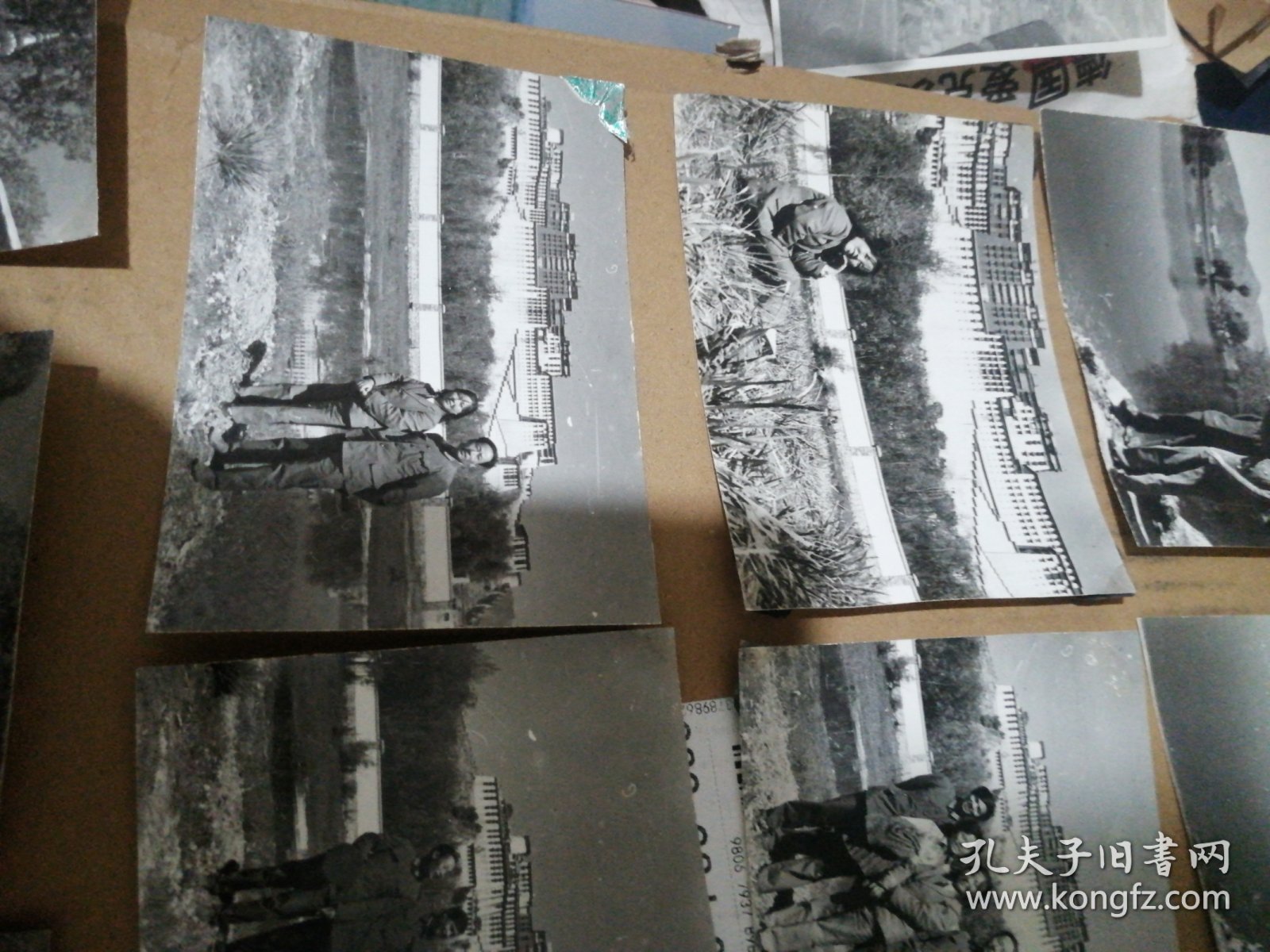 西藏照片，12张合售