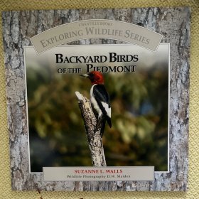 英语绘本Backyard Birds of the Piedmont 山麓的飞鸟