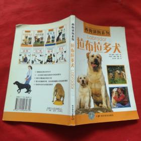 拉布拉多犬