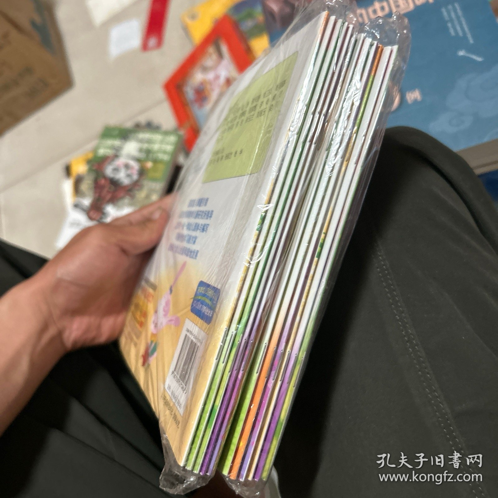幼儿园可操作性学习新方案. 大班. 下