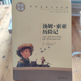汤姆索亚历险记 名家名译世界经典文学名著 原汁原味读原著