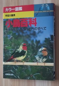 日文书 小鳥百科 : 上手な飼い方と育て方のすべて ＜カラー図鑑＞宇田川竜男 著