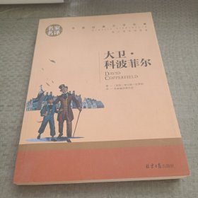 大卫 科波菲尔 中小学生课外阅读书籍世界经典文学名著青少年儿童文学读物故事书名家名译原汁原味读原著