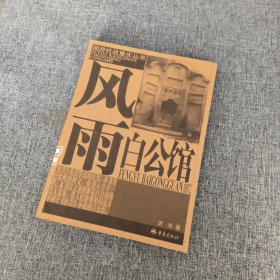 风雨白公馆——溯游抗战重庆丛书