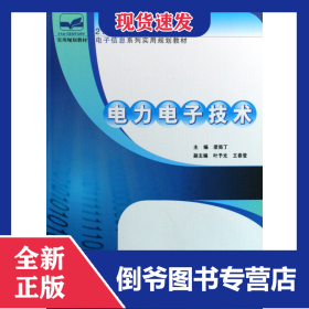 電力電子技術(shù)(21世紀(jì)全國高職高專電子信息系列實(shí)用規(guī)劃教材) 9787301123904