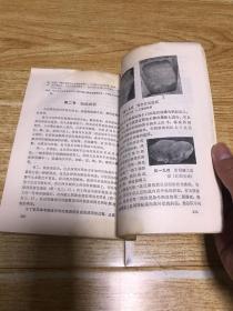 中国南方古代印纹陶（品相如图，介意者慎拍）