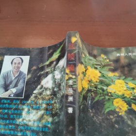 武陵魂