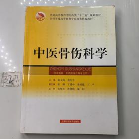中医骨伤科学（上海科学技术出版社）