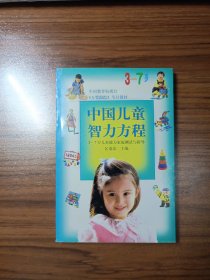 中国儿童智力方程 3-7岁儿童能力家庭测试与指导