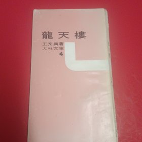 王文兴著《龙天楼》