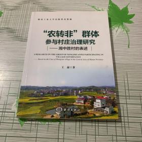 “农转非”群体参与村庄治理研究：湘中胜村的表述