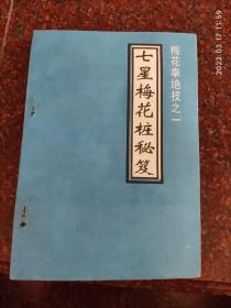 稀缺 梅花拳绝技之一 七星梅花桩秘笈 242页