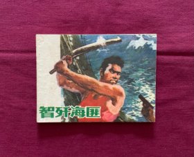 智歼海匪