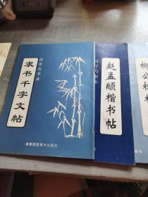 汉字与潇:柳公权楷书帖(一），颜真卿楷书帖(二），欧阳询楷书贴（三），黄自元楷书帖(四)，王羲之楷书帖(六)赵孟楷书帖，隶书千字文帖，7本合售15
