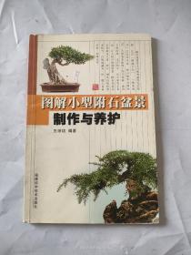 图解小型附石盆景制作与养护