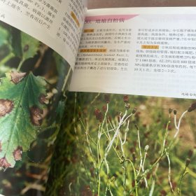 药用植物病虫害防治彩色图谱